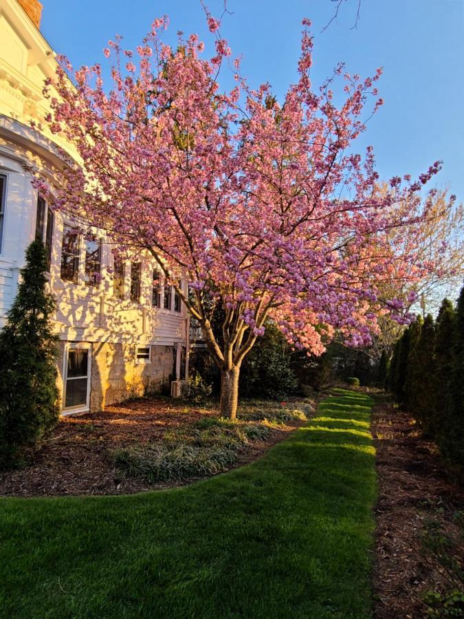 Albemarle Inn - Asheville Eksteriør bilde